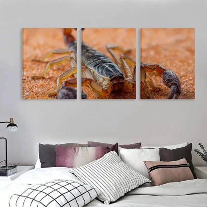 3pcs Scorpion on Orange Carpet Decoration   Wall Art Set Canvas Framed 50x70cm - High Quality Print 100% Australian Made Wall Canvas Ready to Hang