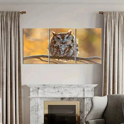 3pcs Animal Art Cute Owl Bird on a Branch Wall Art Set Canvas Framed 50x70cm - High Quality Print 100% Australian Made Wall Canvas Ready to Hang - Bella Home Decor
