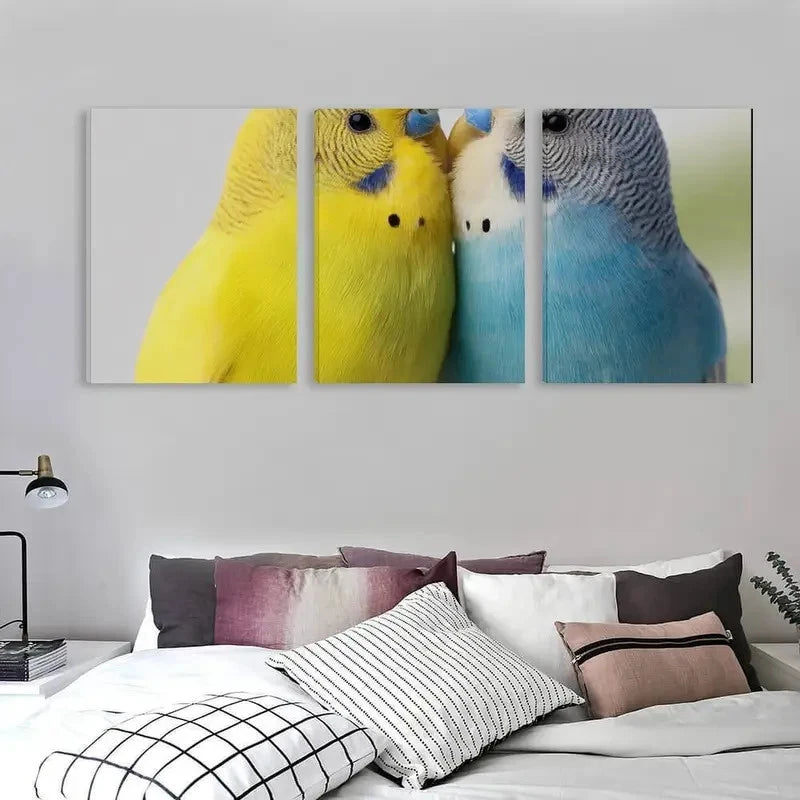 3pcs Two colorful Budgerigars against a white   Wall Art Set Canvas Framed 40x60cm - High Quality Print 100% Australian Made Wall Canvas Ready to Hang - Bella Home Decor