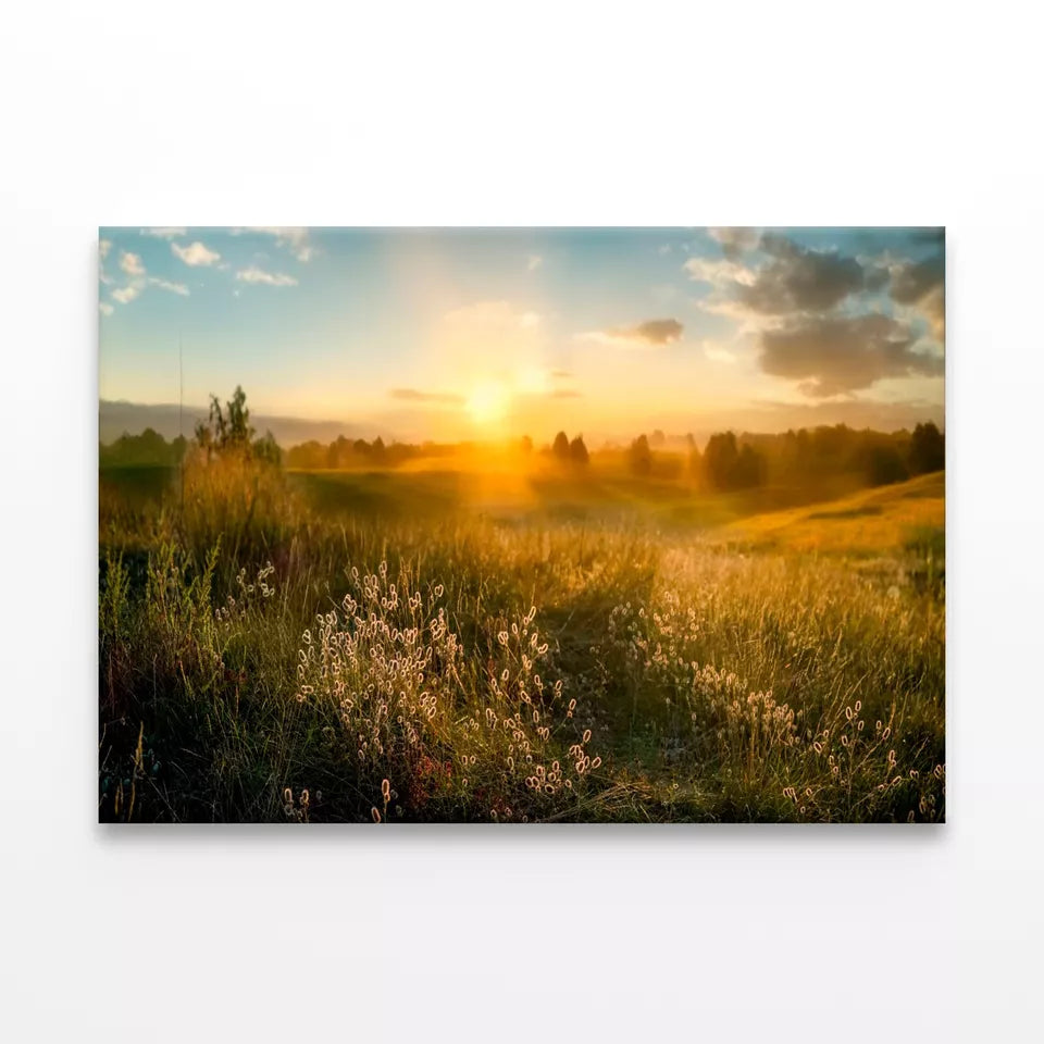 Blooming Wild High Grass Wall Art Decor 100% Australian Made - Bella Home Decor