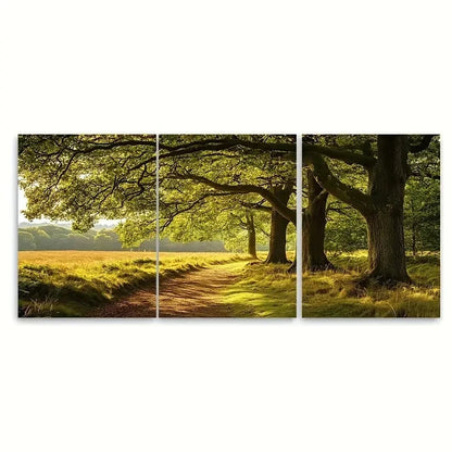 3pcs Burnham Beeches Burnham Print TO    Wall Art Set Canvas Framed 50x70cm - High Quality Print 100% Australian Made Wall Canvas Ready to Hang - Bella Home Decor