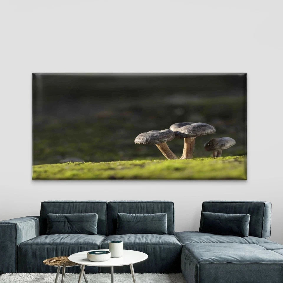 Edible Mushrooms Grass Forest Wall Art Canvas Office Home Room Framed 120x60cm