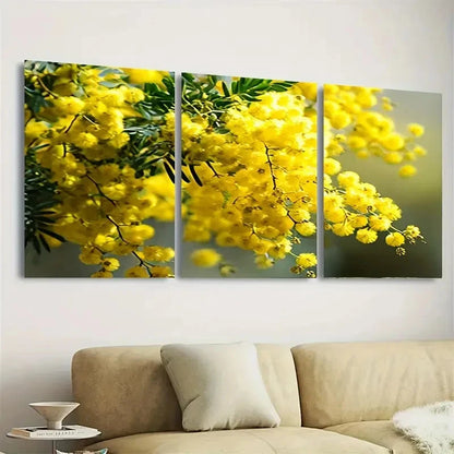 3pcs Acacia Flower Acacia Wall Art Set Canvas Framed 40x60cm - High Quality Print 100% Australian Made Wall Canvas Ready to Hang - Bella Home Decor