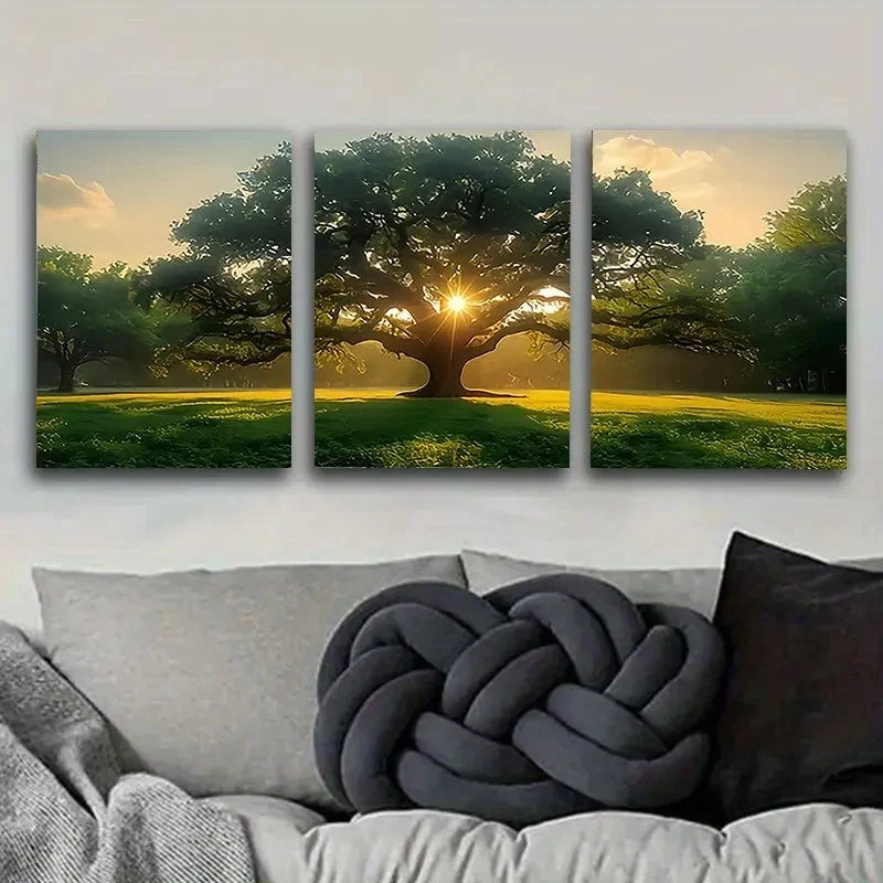3pcs Oak Tree at Sunrise Photography Wall Art Set Canvas Framed 40x60cm - High Quality Print 100% Australian Made Wall Canvas Ready to Hang - Bella Home Decor