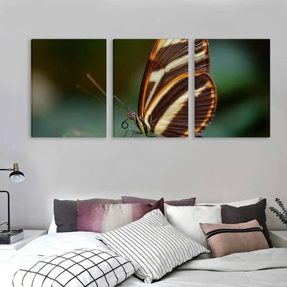 3pcs Elegant Butterfly Vibrant Colors    Wall Art Set Canvas Framed 50x70cm - High Quality Print 100% Australian Made Wall Canvas Ready to Hang - Bella Home Decor