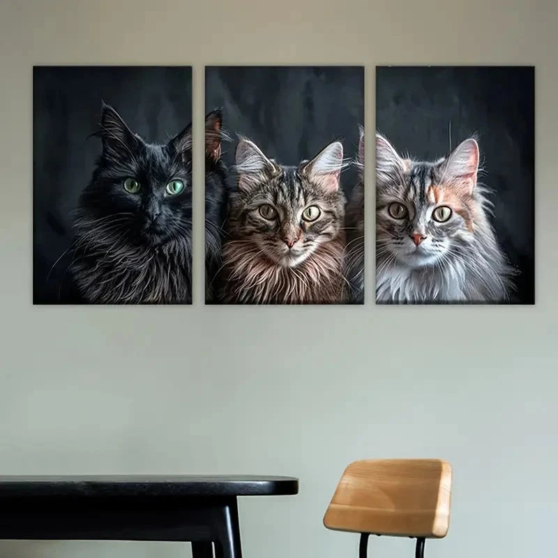 3pcs Three Cats Sitting Next to Each Other Cats Wall Art Set Canvas Framed 50x70cm - High Quality Print 100% Australian Made Wall Canvas Ready to Hang - Bella Home Decor