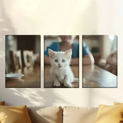 3pcs Cute white cat Wall Art Canvas Unframed - High Quality Print 100% Australian Made Wall Canvas
