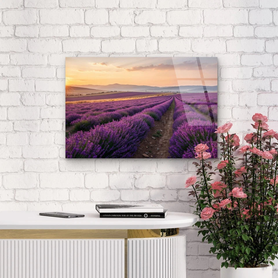 Serene Purple Lavender Field Sunrise Acrylic Glass Printing Wall Art Australian Made Quality