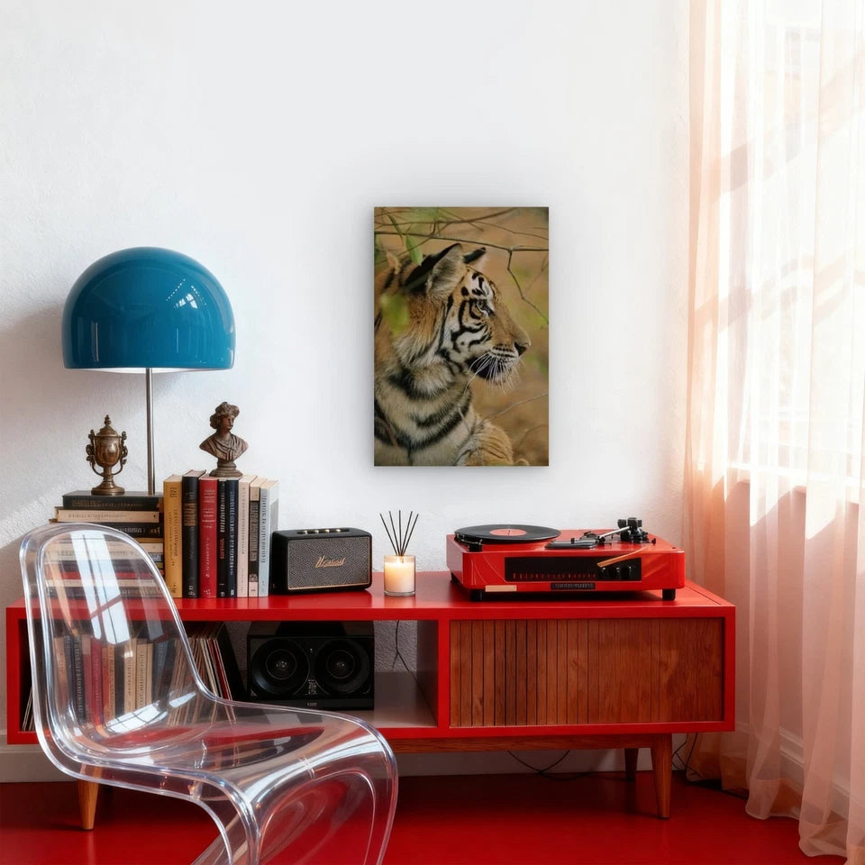 Majestic Tiger 60x90cm Metal Print Ready to Hang