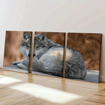 3pcs Wolf Sitting on the Ground Modern Wall Art Canvas Unframed – High Quality Print 100% Australian Made Wall Canvas