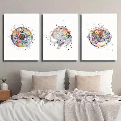 3pcs Eye Clinic Poster with Anatomy Illustration Wall Art Set Canvas Unframed - High Quality Print 100% Australian Made Wall Canvas