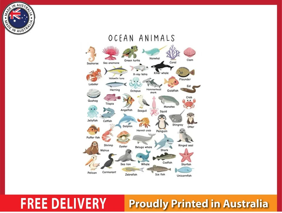 NEW (LAMINATED) Ocean Animals (61X91CM) Educational CHART PICTURE PRINT