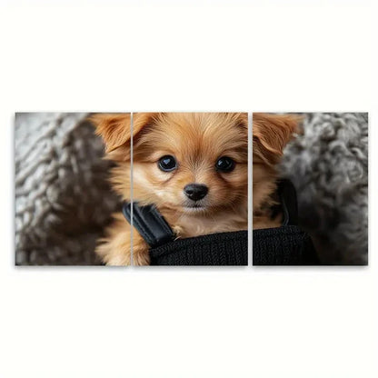 3pcs Small Cute Puppy P Wall Art Set Canvas Framed 60x90cm - High Quality Print 100% Australian Made Wall Canvas Ready to Hang