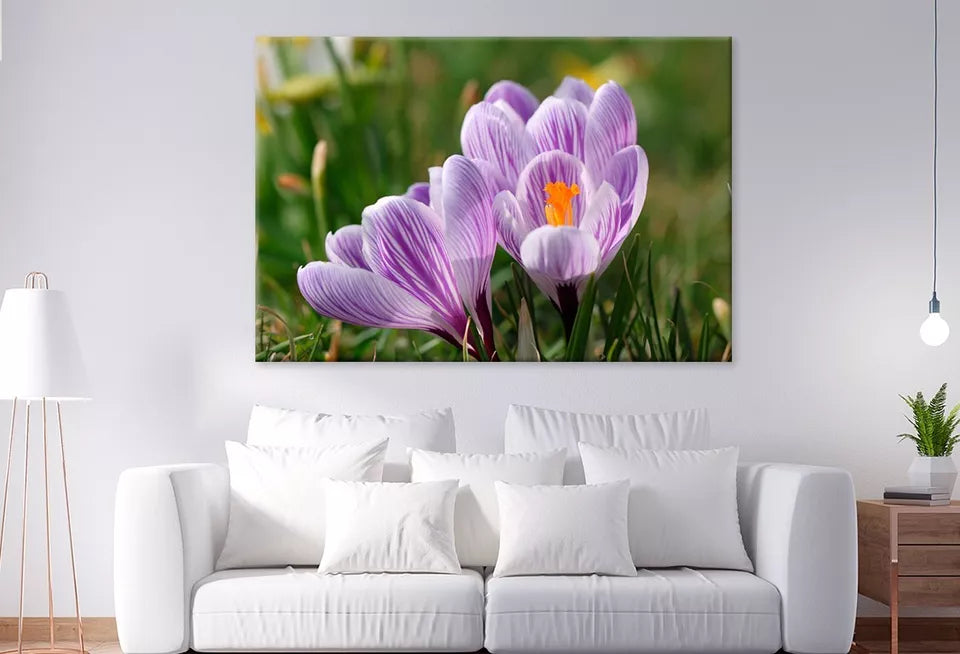 Spring Growing Flowers And Nature Wall Art Decor 100% Australian Made - Bella Home Decor