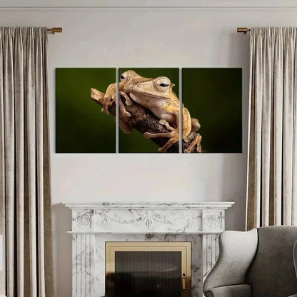3pcs Tree Frog Lying On A Branch Print Wall Art Set Canvas Framed 40x60cm - High Quality Print 100% Australian Made Wall Canvas Ready to Hang - Bella Home Decor