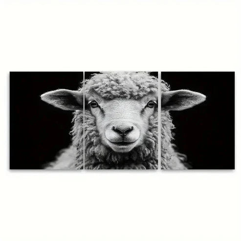 3pcs Fluffy Ram Sheep Black and White T Wall Art Set Canvas Unframed – High Quality Print, 100% Australian Made Wall Canvas - Bella Home Decor