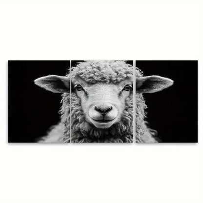 3pcs Fluffy Ram Sheep Black and White T Wall Art Set Canvas Unframed – High Quality Print, 100% Australian Made Wall Canvas - Bella Home Decor
