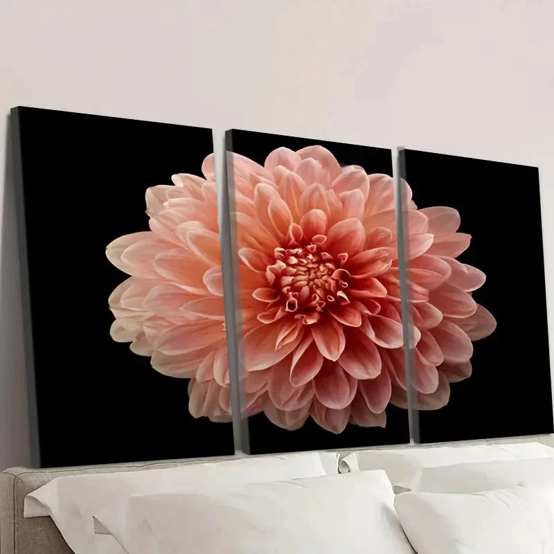 3pcs peachy pink dahlia flower Wall Art Set Canvas Framed 50x70cm - High Quality Print 100% Australian Made Wall Canvas Ready to Hang