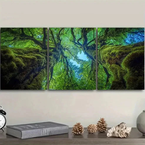 3pcs The Perspective from Within an Old Tree Wall Art Set Canvas Unframed - High Quality Print 100% Australian Made Wall Canvas - Bella Home Decor