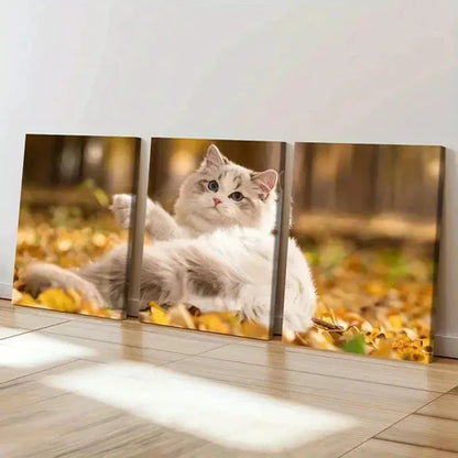 3pcs Cute Kitten in Autumn Splendor Wall Art Canvas Unframed – High Quality Print 100% Australian Made Wall Canvas