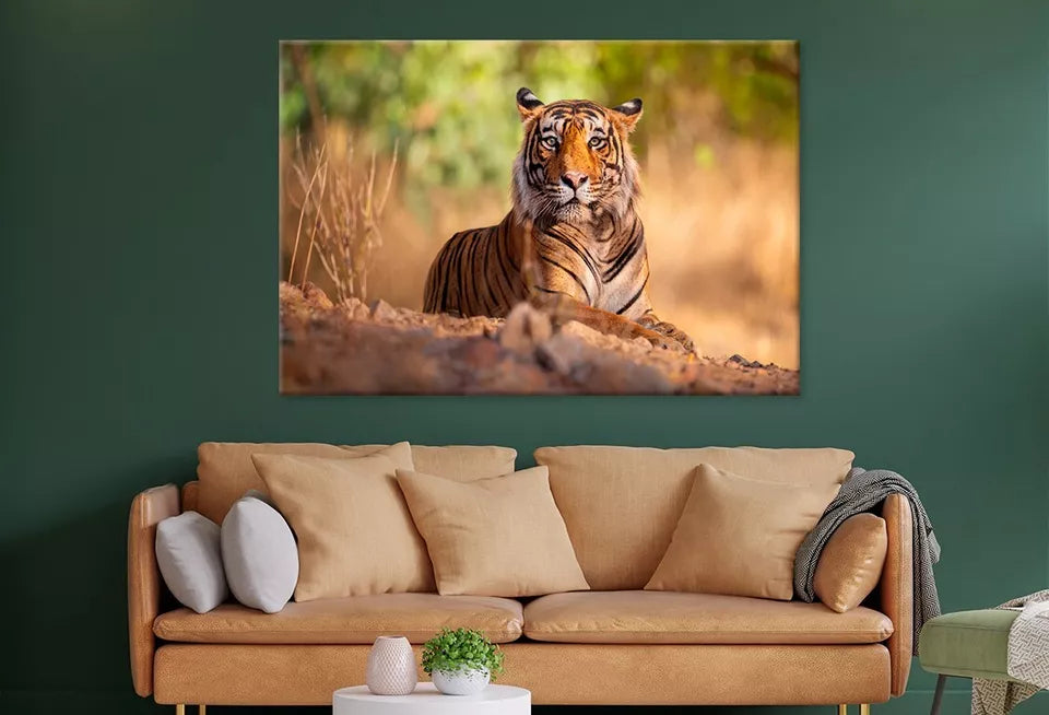 Amazing Tiger In The Nature Wall Art Decor 100% Australian Made - Bella Home Decor