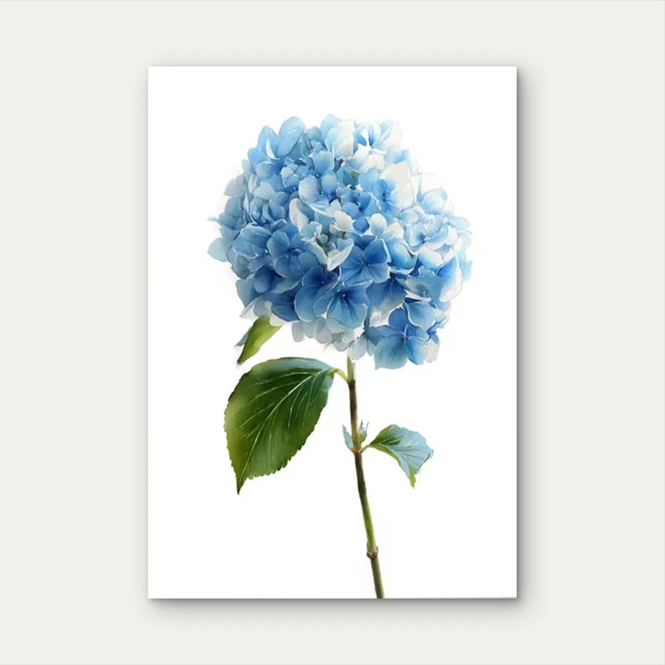 Light Blue Watercolor Hydrangea Floral 60x90cm Metal Print Ready to Hang