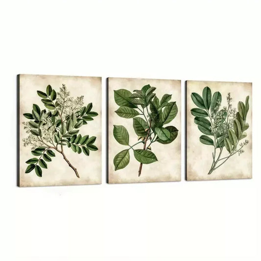 3pcs Abstract Green Leaves Botanical Vintage Wall Art Set Canvas Framed 50x70cm - High Quality Print 100% Australian Made Wall Canvas Ready to Hang