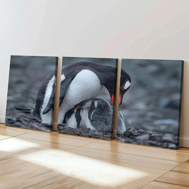 3pcs Animal Penguin Family Decoration Wall Art Set Canvas Framed 50x70cm - High Quality Print 100% Australian Made Wall Canvas Ready to Hang - Bella Home Decor