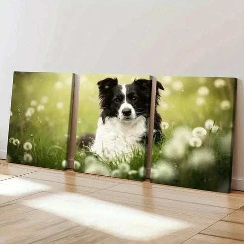 3pcs Puppy Dandelion and Grass Field Wall Art Canvas Unframed - High Quality Print 100% Australian Made Wall Canvas