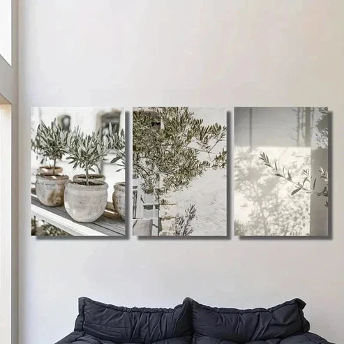 3pcs Olive Tree Close Up Branch Decoration Wall Art Canvas Unframed - High Quality Print 100% Australian Made Wall Canvas