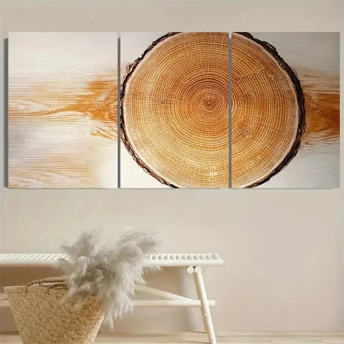 3pcs Modern Minimalist Boho Tree Ring Wall Art Set Canvas Unframed - High Quality Print 100% Australian Made Wall Canvas