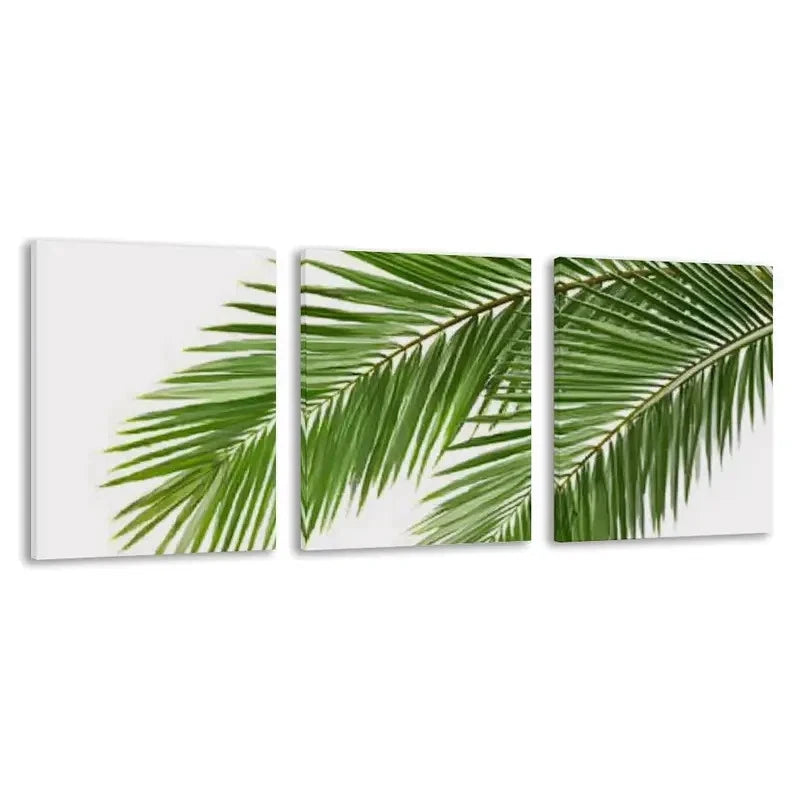 3pcs Palm leaves Isolated on a white Background   Wall Art Set Canvas Framed 50x70cm - High Quality Print 100% Australian Made Wall Canvas Ready to Hang