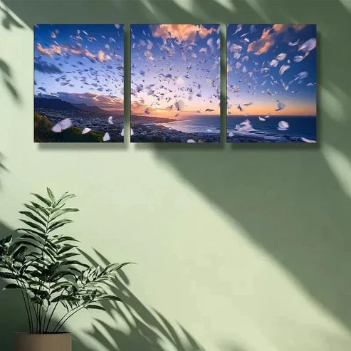 3pcs Sunset in Cape Town & White Feathers Wall Art Canvas Unframed - High Quality Print 100% Australian Made Wall Canvas