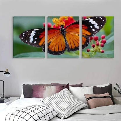 3pcs Danaus chrysippus Butterfly Decor  Wall Art Set Canvas Framed 40x60cm - High Quality Print 100% Australian Made Wall Canvas Ready to Hang - Bella Home Decor