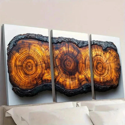 3pcs Tree Ring Prints Beauty R    Wall Art Set Canvas Framed 50x70cm - High Quality Print 100% Australian Made Wall Canvas Ready to Hang