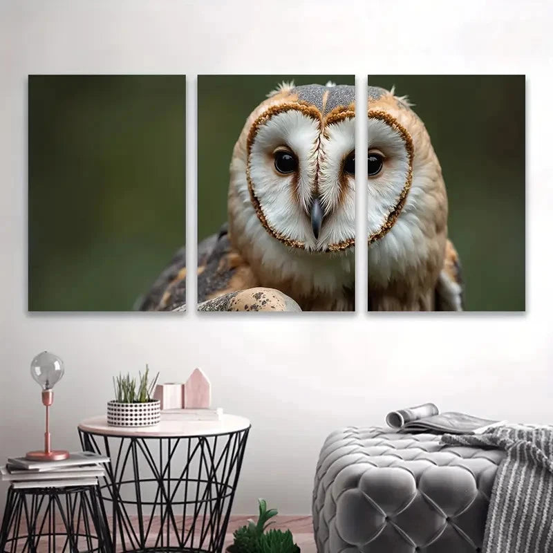 3pcs Owl Close-Up Spray Paint Vertical Decor   Wall Art Set Canvas Framed 60x90cm - High Quality Print 100% Australian Made Wall Canvas Ready to Hang