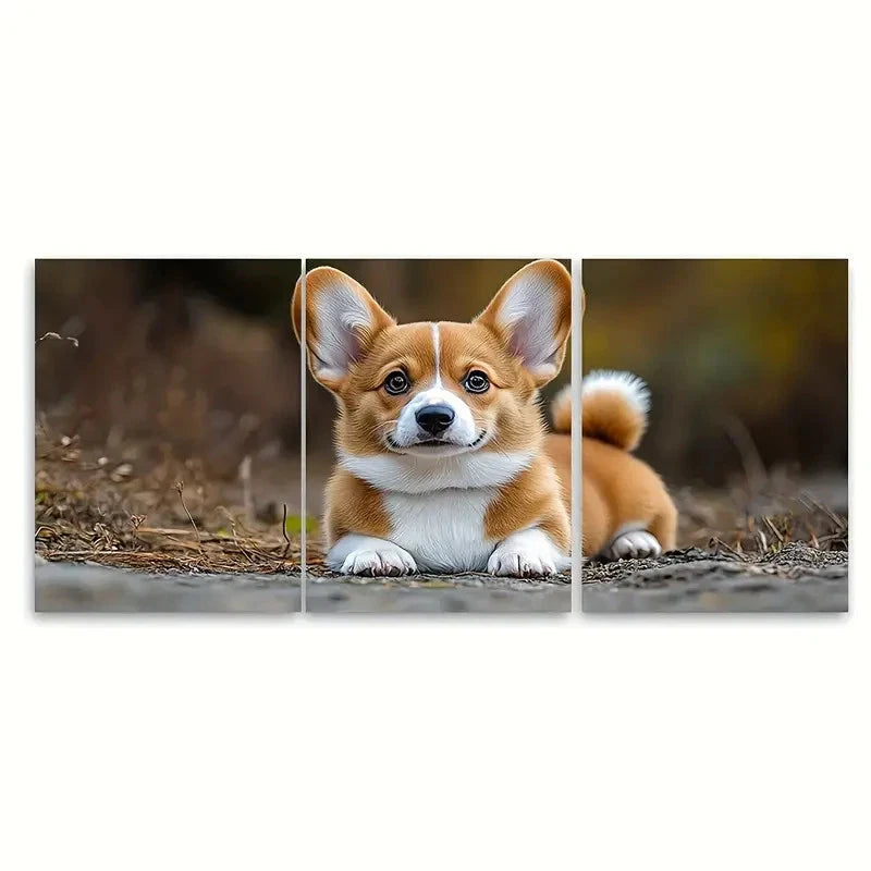 3pcs Welsh Pembroke Corgi Puppy ei Wall Art Set Canvas Framed 60x90cm - High Quality Print 100% Australian Made Wall Canvas Ready to Hang - Bella Home Decor