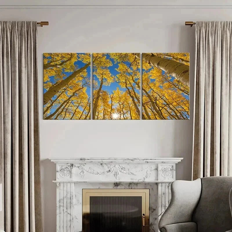 3pcs Autumn Golden Birch Forest Landscape Wall Art Set Canvas Framed 40x60cm - High Quality Print 100% Australian Made Wall Canvas Ready to Hang - Bella Home Decor