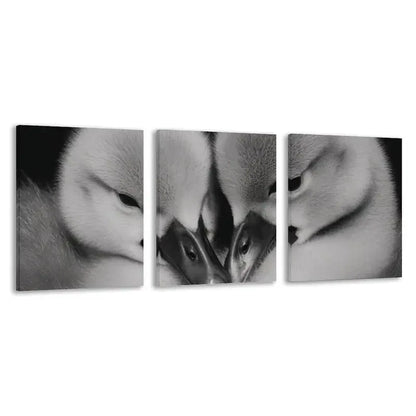 3pcs Black and White Swan Cygnets Cuddling   Wall Art Set Canvas Framed 50x70cm - High Quality Print 100% Australian Made Wall Canvas Ready to Hang - Bella Home Decor