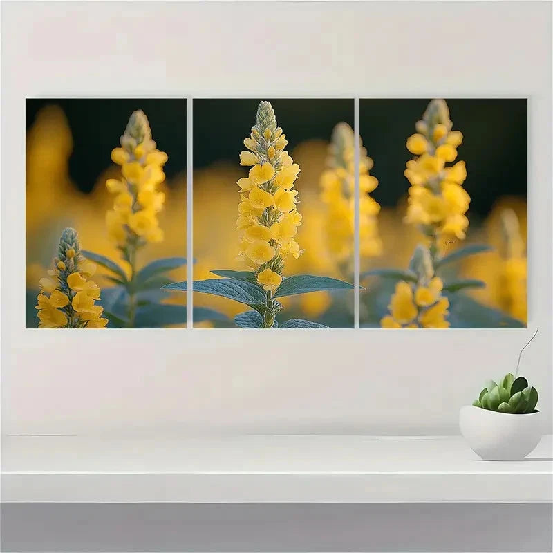 3pcs Yellow Loosestrife Plant Nature Perfect Wall Art Set Canvas Framed 40x60cm - High Quality Print 100% Australian Made Wall Canvas Ready to Hang - Bella Home Decor