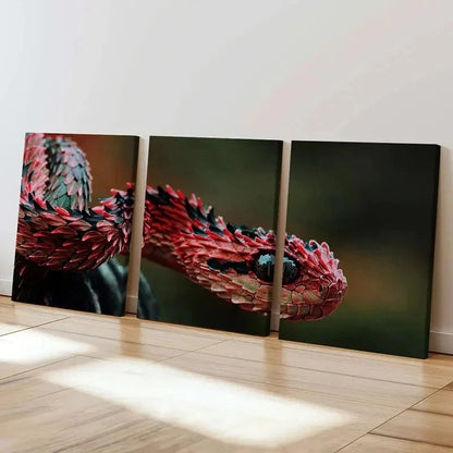 3pcs Cold Blooded Reptiles Snakes Tree Vipers Wall Art Set Canvas Framed 40x60cm - High Quality Print 100% Australian Made Wall Canvas Ready to Hang
