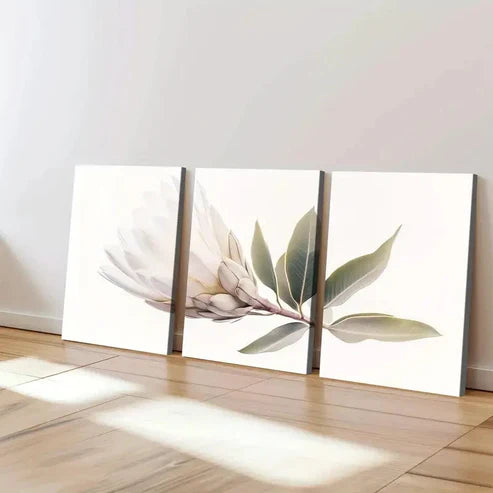 3pcs Single White King Protea Abstract Geometric Wall Art Canvas Unframed - High Quality Print 100% Australian Made Wall Canvas
