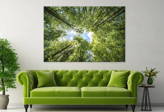 Sunlight Filtering Through Trees Wall Art Decor 100% Australian Made - Bella Home Decor