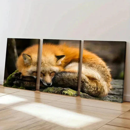 3pcs Orange Fox Sleeping on the Ground  Wall Art Set Canvas Unframed - High Quality Print 100% Australian Made Wall Canvas