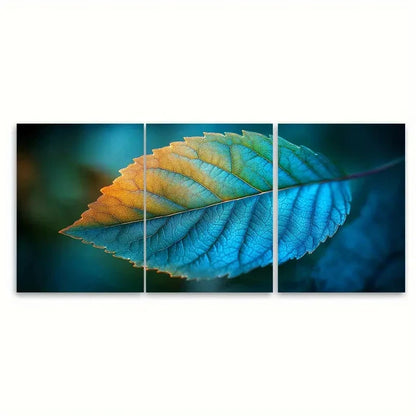 3pcs Macro Translucent Leaf Greens Blues N  Wall Art Set Canvas Framed 40x60cm - High Quality Print 100% Australian Made Wall Canvas Ready to Hang