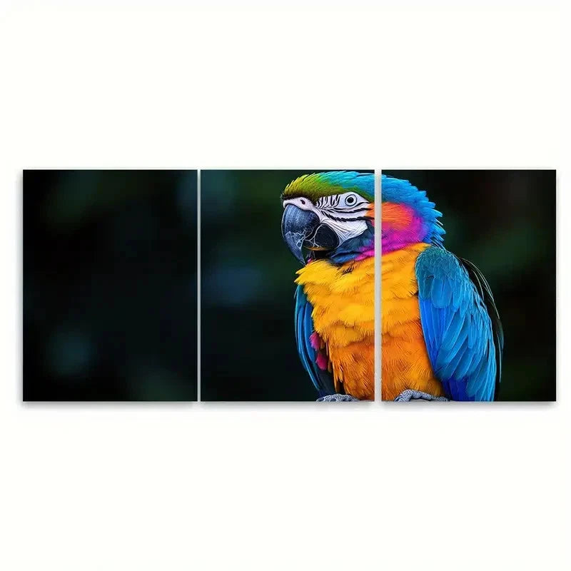 3pcs Colorful Parrot Purple Blue Yellow Feather  Wall Art Set Canvas Framed 50x70cm - High Quality Print 100% Australian Made Wall Canvas Ready to Hang - Bella Home Decor