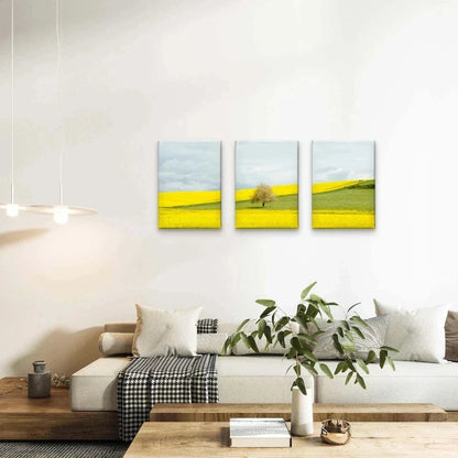 3pcs Yellow Countryside Field Collage Wall Art Set Canvas Framed 40x60cm - High Quality Print 100% Australian Made Wall Canvas Ready to Hang (Copy) (Copy)