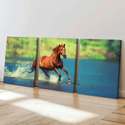 3pcs Majestic Running Horses in Water Wall Art Set Canvas Unframed - High Quality Print 100% Australian Made Wall Canvas