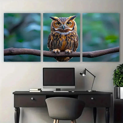 3pcs Owl On Branch Nature Perfect Wall Art Set Canvas Framed 50x70cm - High Quality Print 100% Australian Made Wall Canvas Ready to Hang