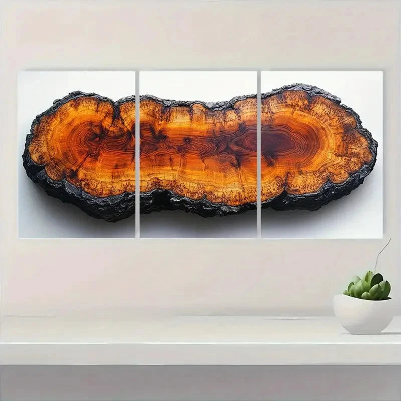 3pcs Oak Wood Tree Rings & Abstract Nature OK  Framed Wall Art Set Canvas Framed 50x70cm - High Quality Print 100% Australian Made Wall Canvas Ready to Hang